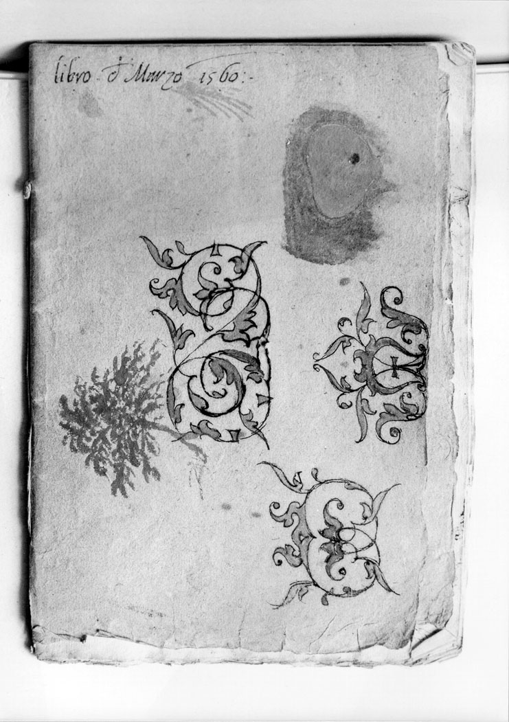 motivi decorativi (disegno) di Ulisse Severino da Cingoli (sec. XVI)