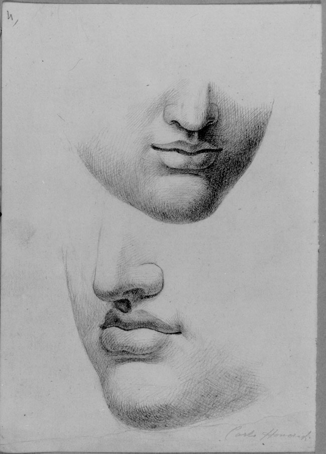 studio di nasi e bocche (disegno) di Honorati Carlo (prima metà sec. XIX)