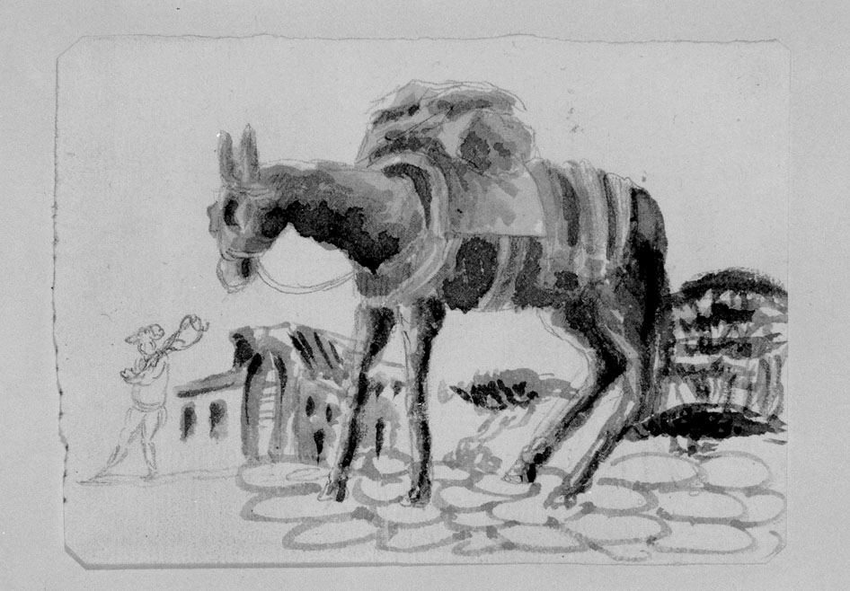 studio di un mulo (disegno) di Honorati Carlo (primo quarto sec. XIX)