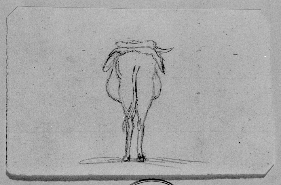 studio di un mulo (disegno) di Honorati Carlo (primo quarto sec. XIX)