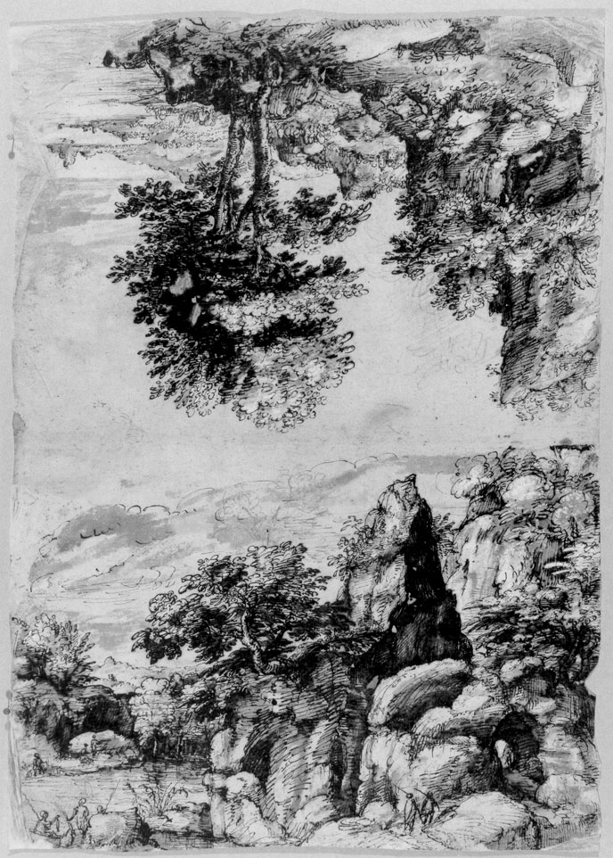 paesaggio con alberi (disegno) di Cibo Gherardo (sec. XVI)