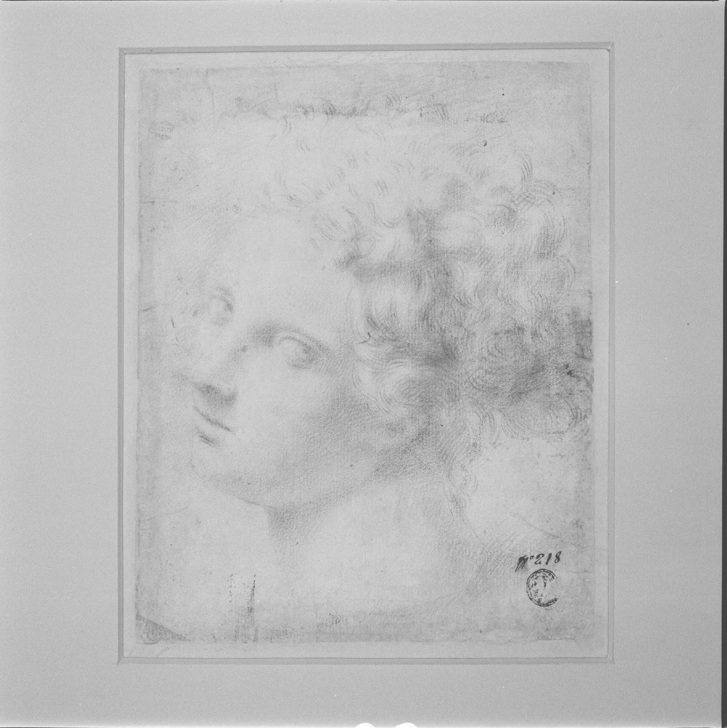 testa di donna (disegno) di Luffoli Giovanni Maria (sec. XVII)