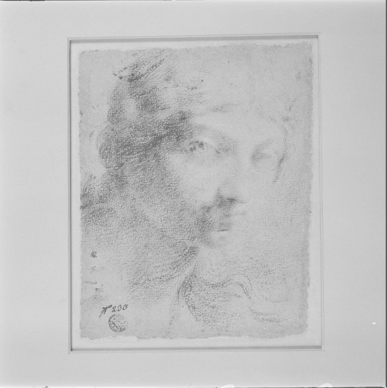 testa di donna (disegno) di Luffoli Giovanni Maria (attribuito) (sec. XVII)