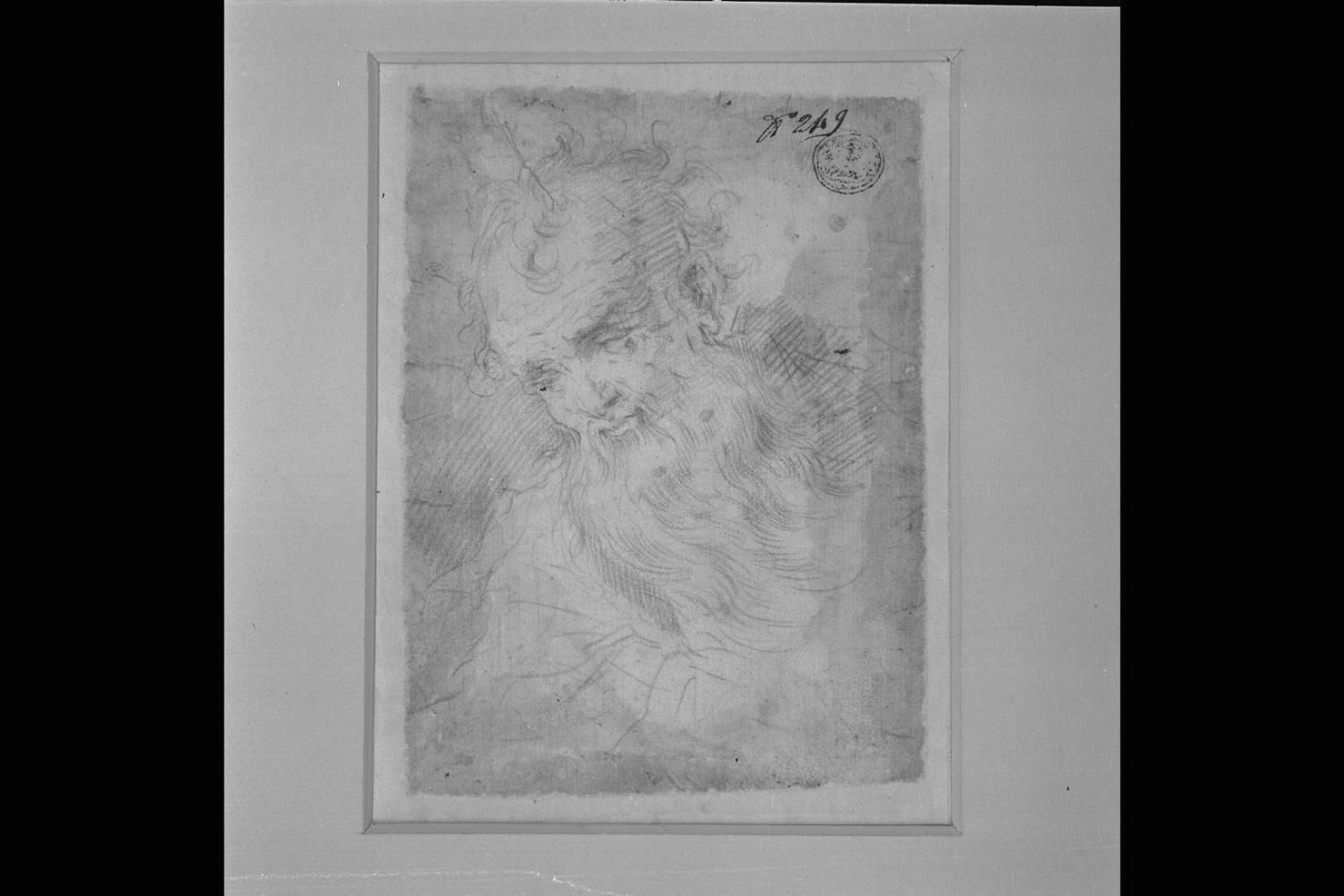 testa d'uomo con barba (disegno) di Ridolfi Claudio (secc. XVI/ XVII)