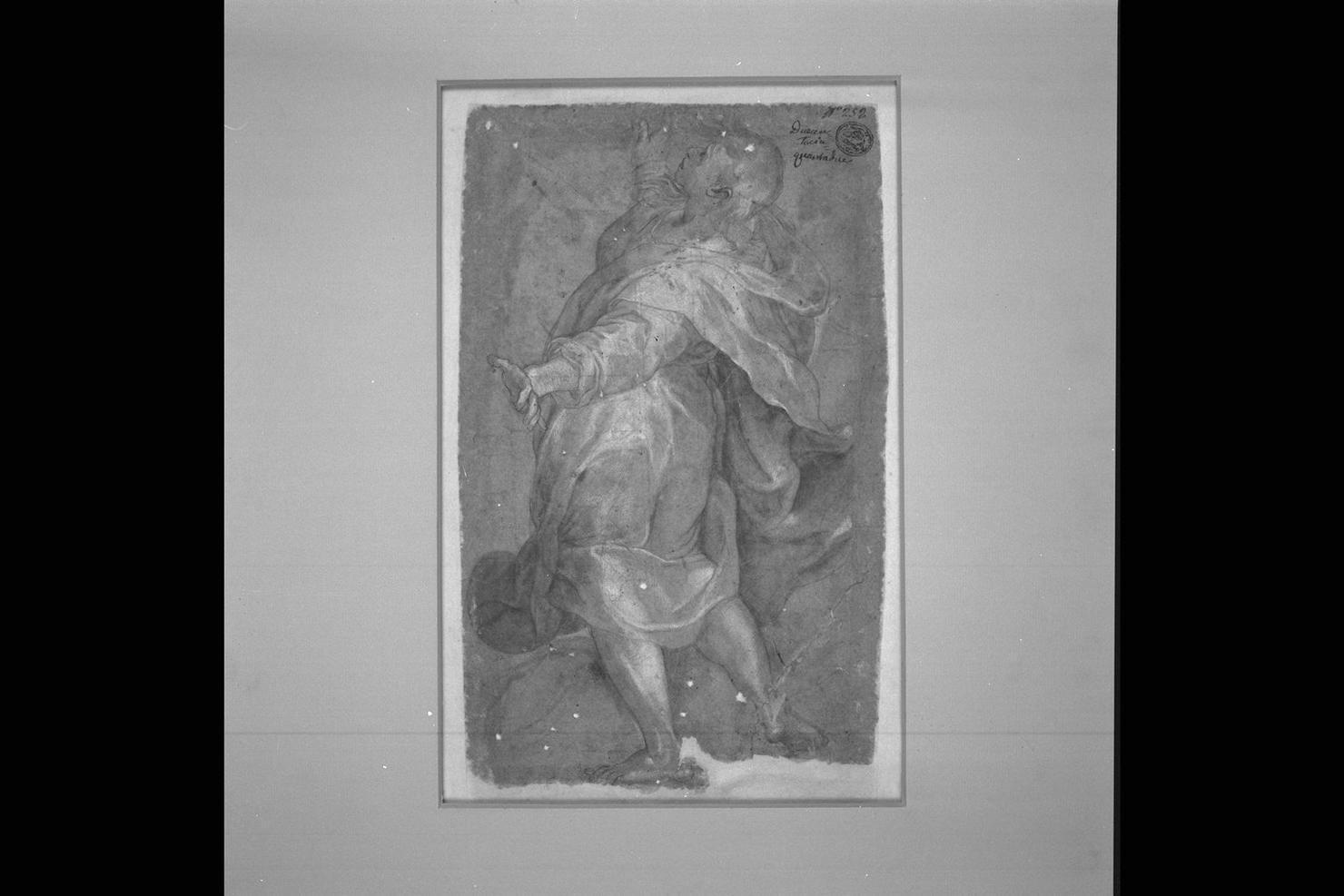 San Giovanni Evangelista (disegno) di Fiori Federico detto Barocci (sec. XVI)