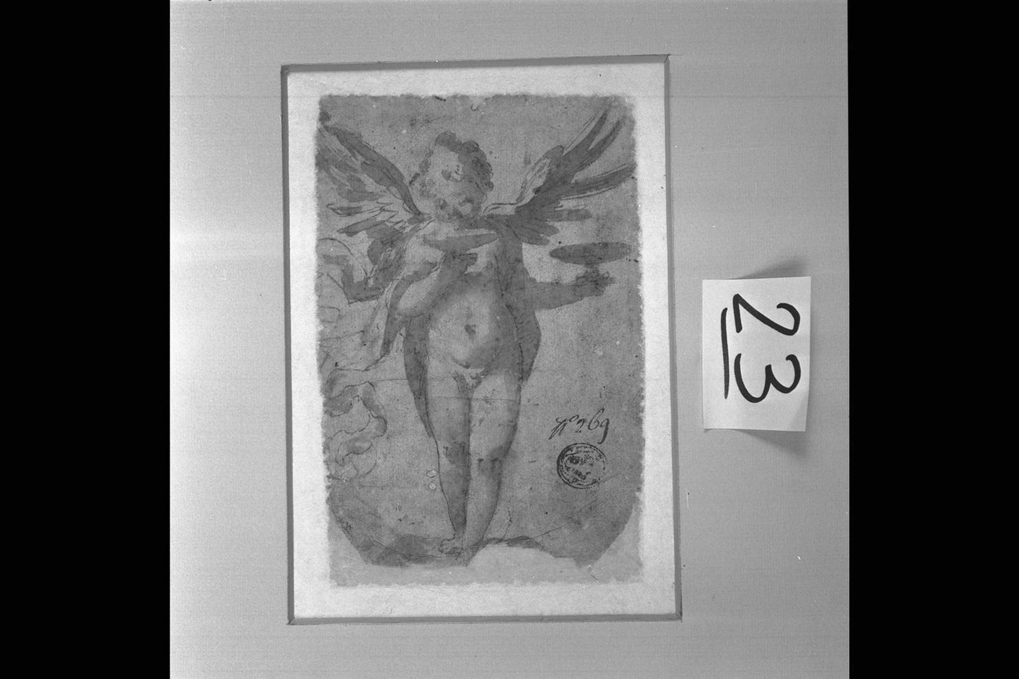 angelo (disegno) di Picchi Giorgio (sec. XVI)