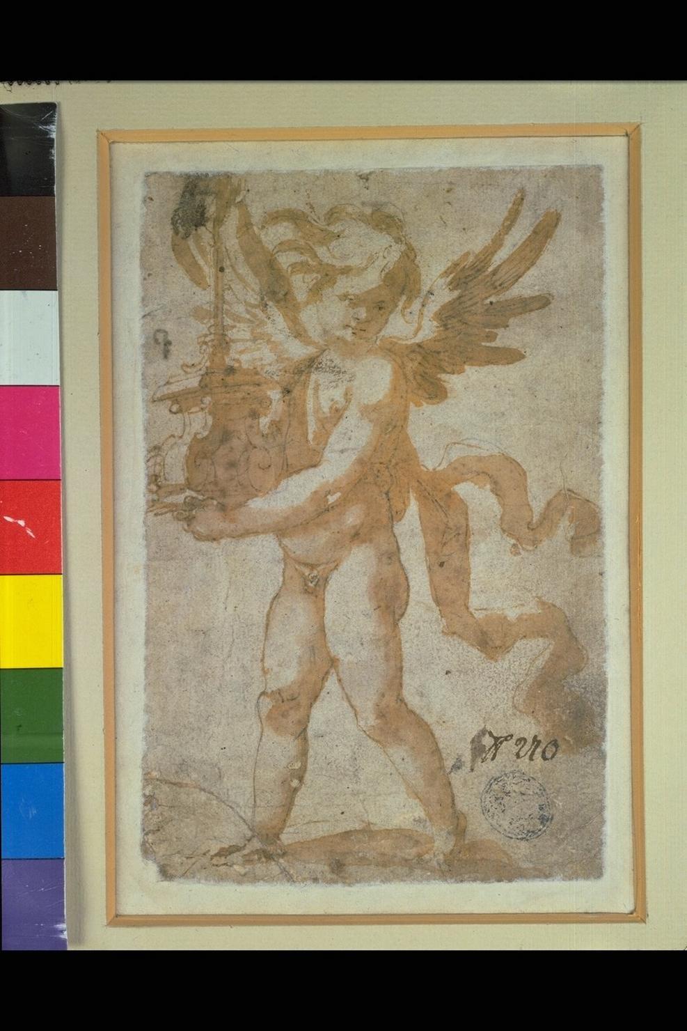 angelo reggicandelabro (disegno) di Picchi Giorgio (sec. XVI)