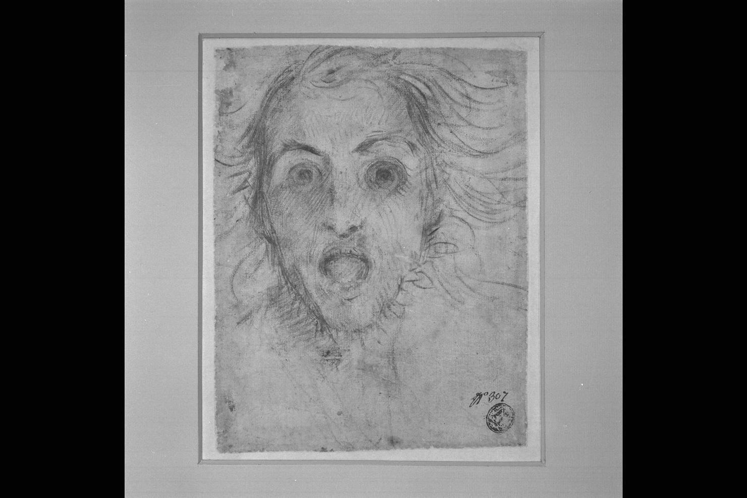 testa di donna (disegno) di Montelatici Francesco detto Cecco Bravo (sec. XVII)