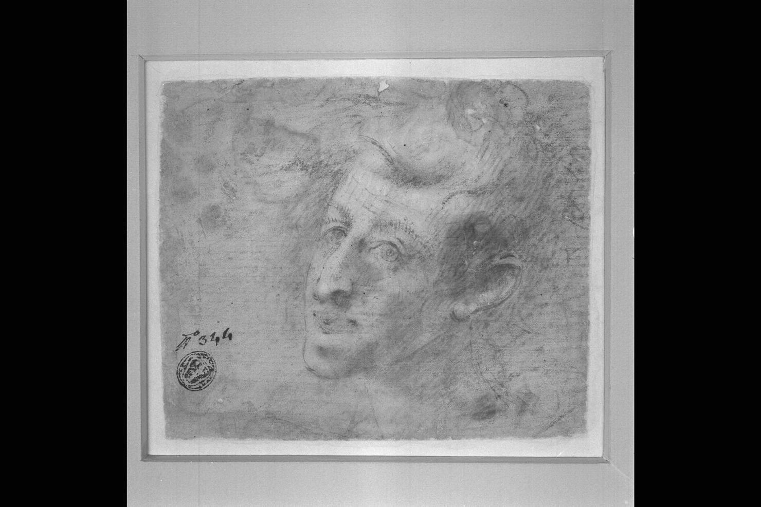 testa d'uomo (disegno) di Peruzzini Domenico (sec. XVII)