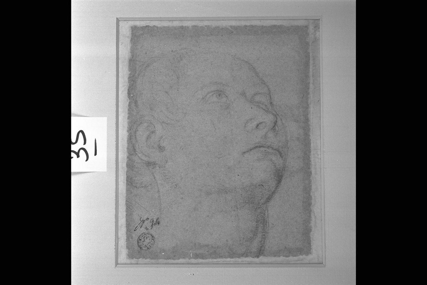 testa d'uomo (disegno) di Commodi Andrea (attribuito) (secc. XVI/ XVII)