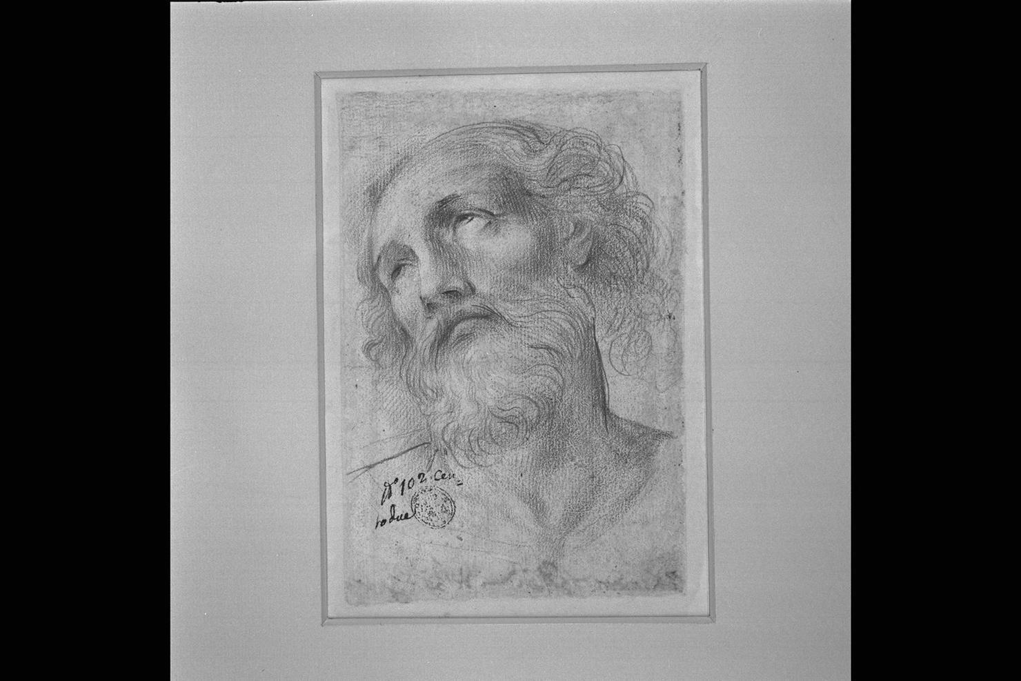 testa d'uomo con barba (disegno) di Peruzzini Domenico (attribuito) (sec. XVII)