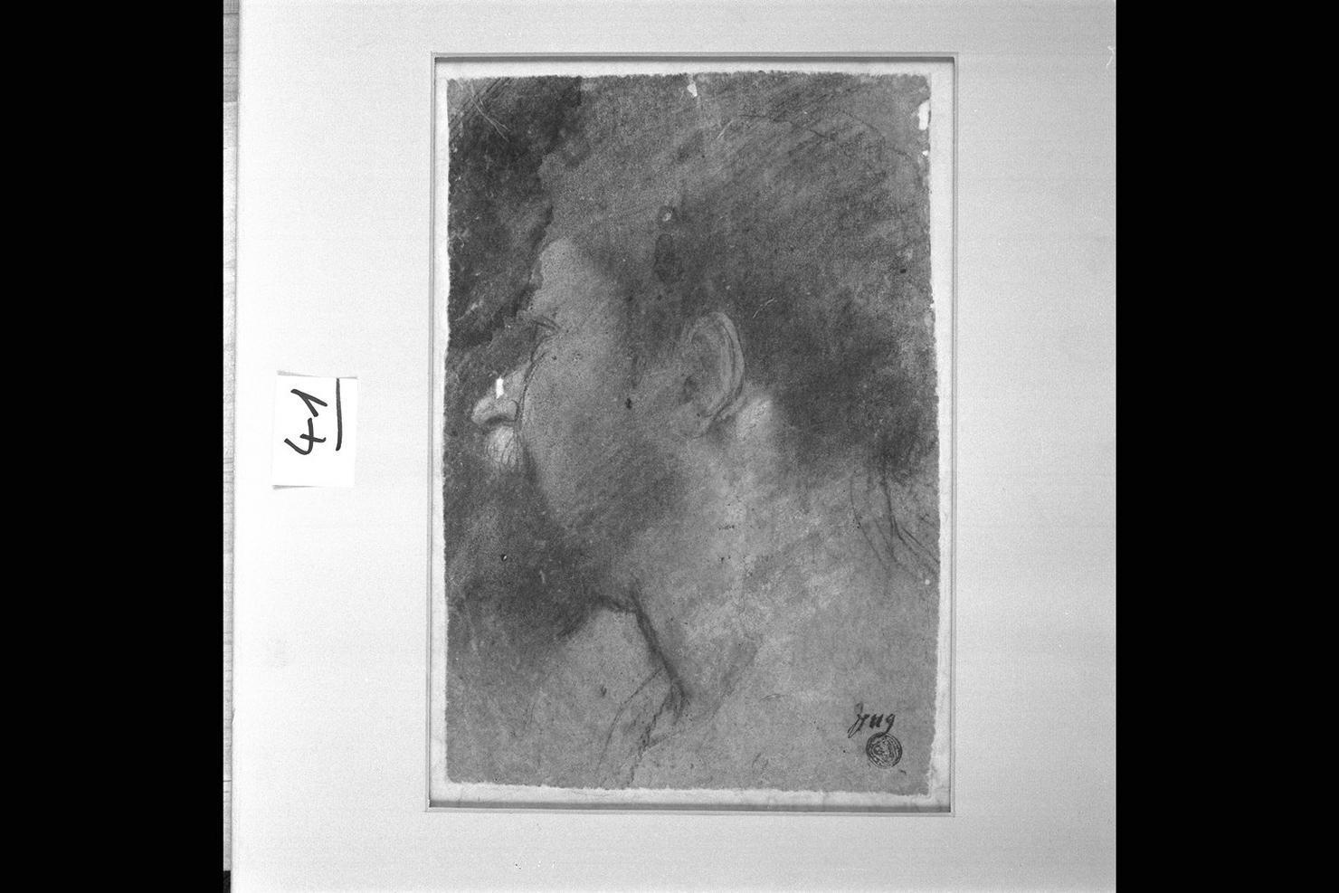testa d'uomo con barba (disegno) di Fiori Federico detto Barocci (attribuito) (sec. XVII)