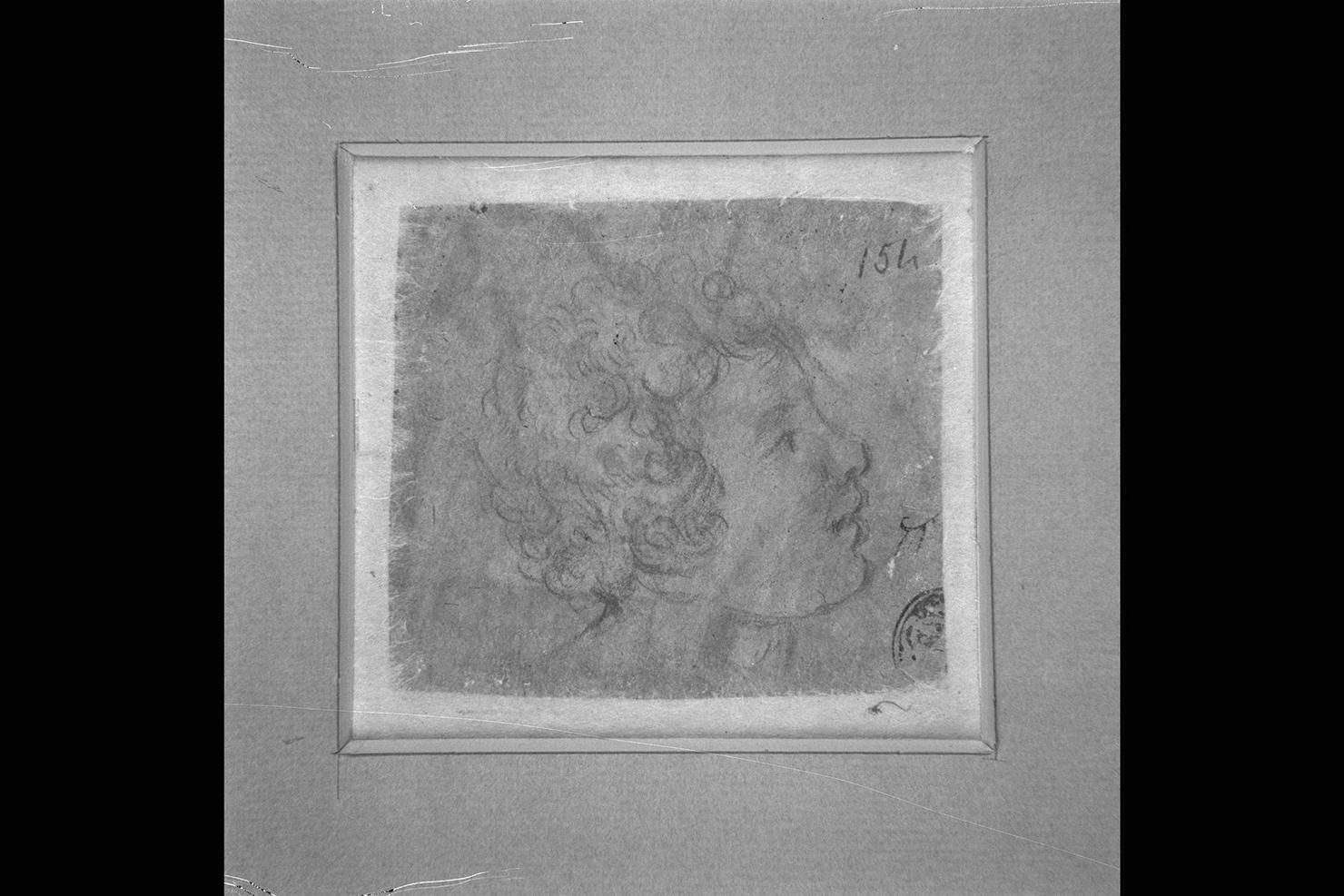 testa di bambino (disegno) di Guerrieri Giovanni Francesco (sec. XVII)