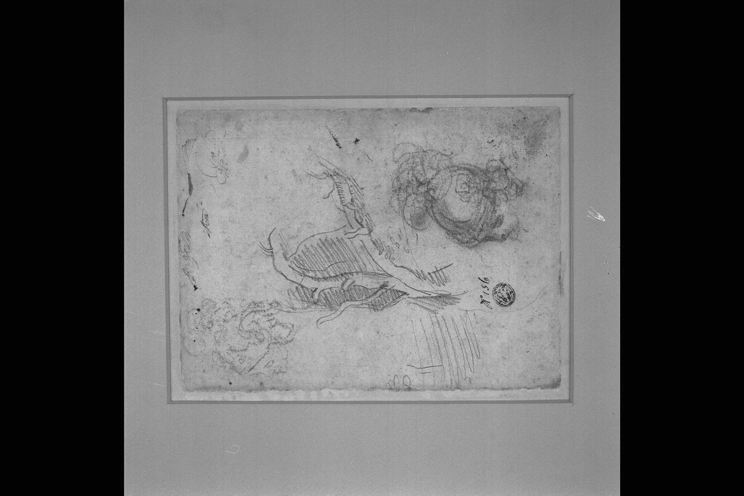 teste con elmo piumato e albero (disegno) di Fiori Federico detto Barocci (cerchia) (secc. XVI/ XVII)