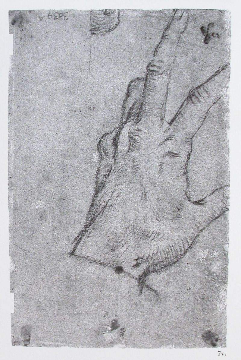 mano (disegno) di Caliari Carlo detto Caliari Carletto (attribuito) (seconda metà sec. XVI)