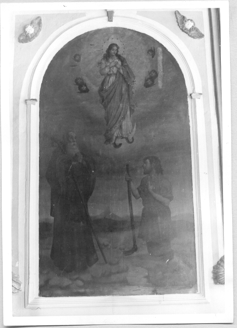 Immacolata Concezione e santi (dipinto) di Mancini Enrico (sec. XIX)