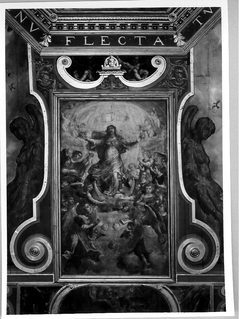 Immacolata Concezione in gloria (dipinto, elemento d'insieme) di Pandolfi Giovanni Giacomo (sec. XVII)