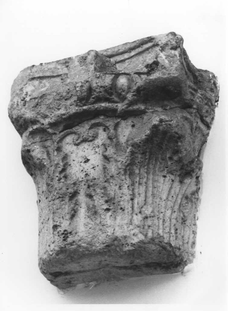 capitello corinzio - bottega marchigiana (fine/inizio secc. XI/ XII)