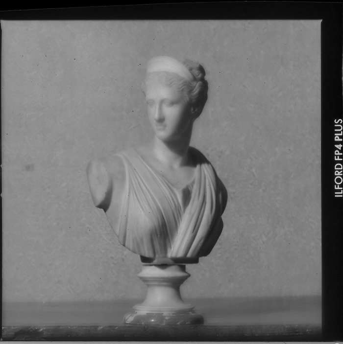 ritratto di Paolina Borghese Bonaparte (busto) - bottega marchigiana (primo quarto sec. XIX)