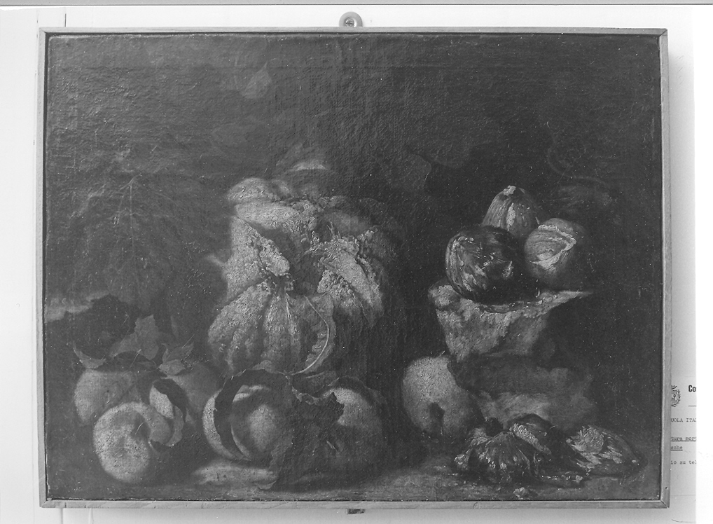 natura morta (dipinto) - ambito romano (sec. XVII)