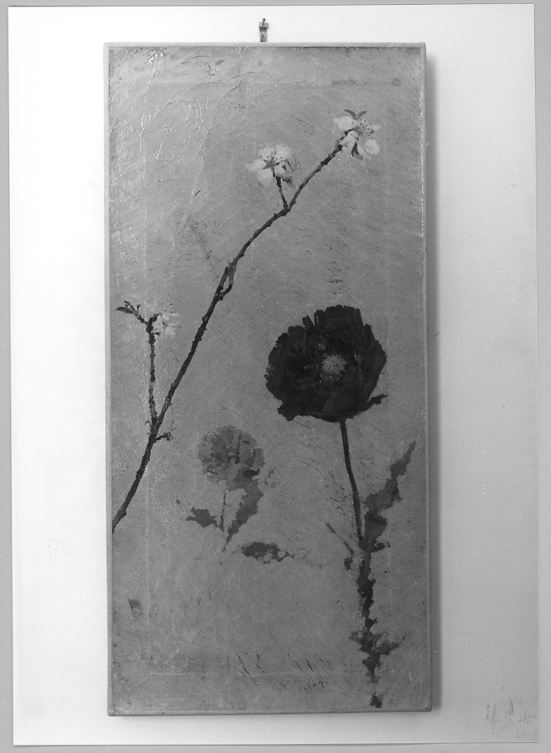 fiori (dipinto) di Martini Sigismondo (seconda metà sec. XIX)