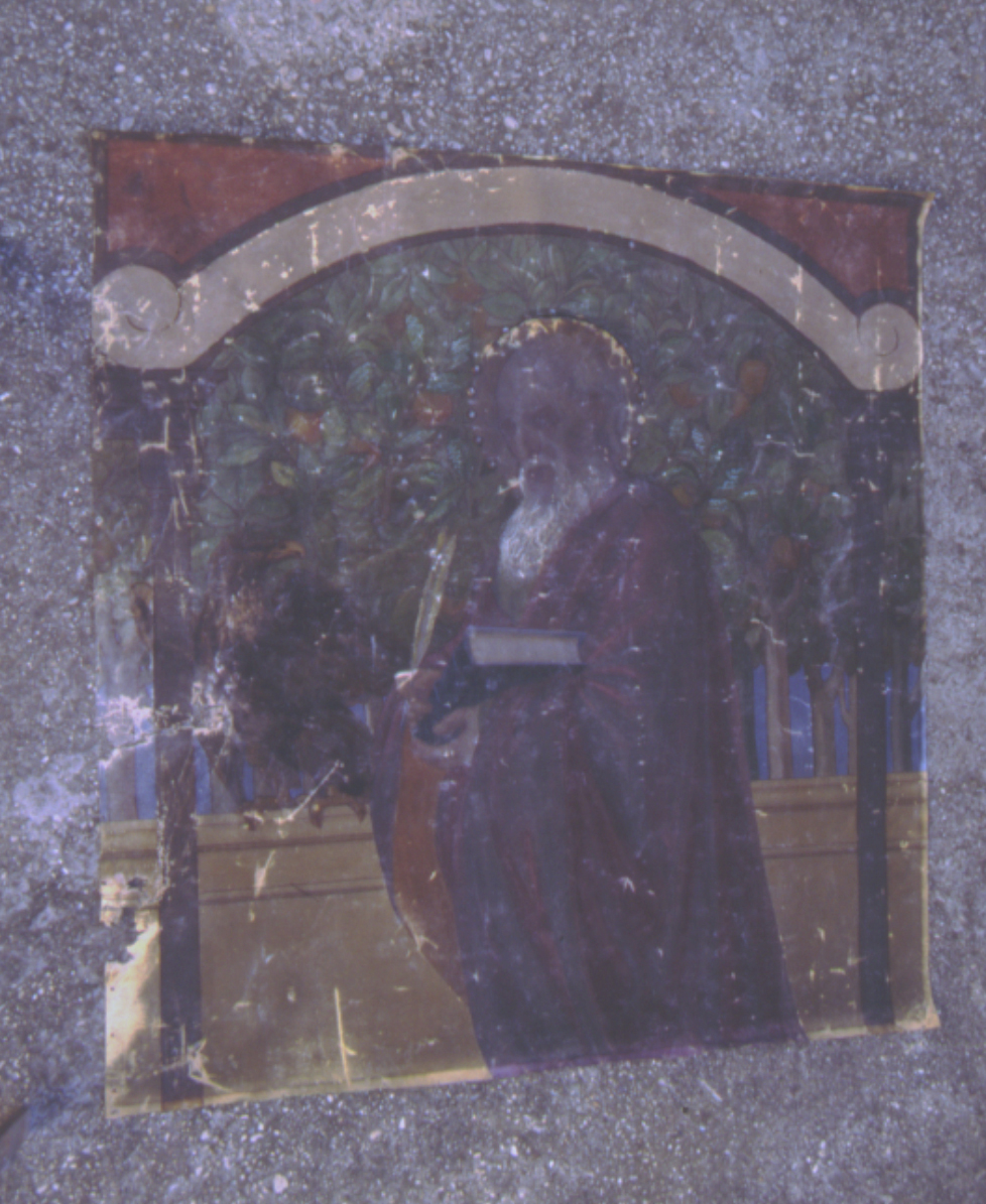 San Giovanni Evangelista (dipinto) di Pauri Giuseppe (primo quarto sec. XX)