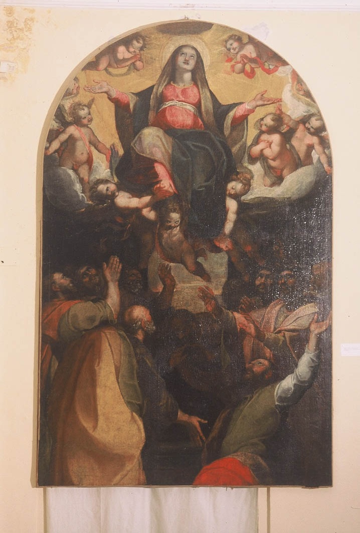 Madonna Assunta (dipinto) di Picchi Giorgio (sec. XVI)