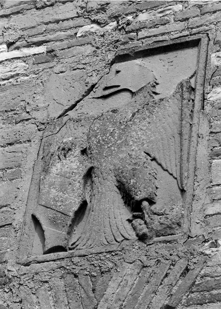 aquila feltresca (rilievo) - bottega marchigiana (sec. XV)