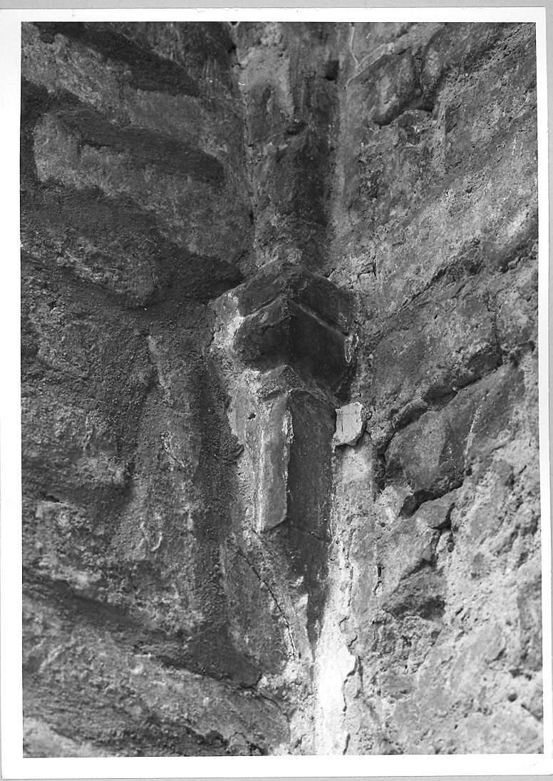 peduccio - angolare - bottega marchigiana (seconda metà sec. XV)