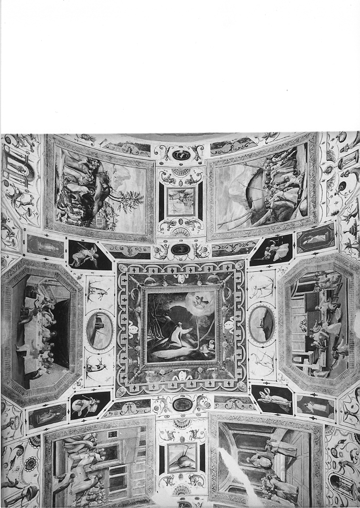grottesche (dipinto, elemento d'insieme) di Magistris Simone de, Magistris Giovan Francesco de (sec. XVI)