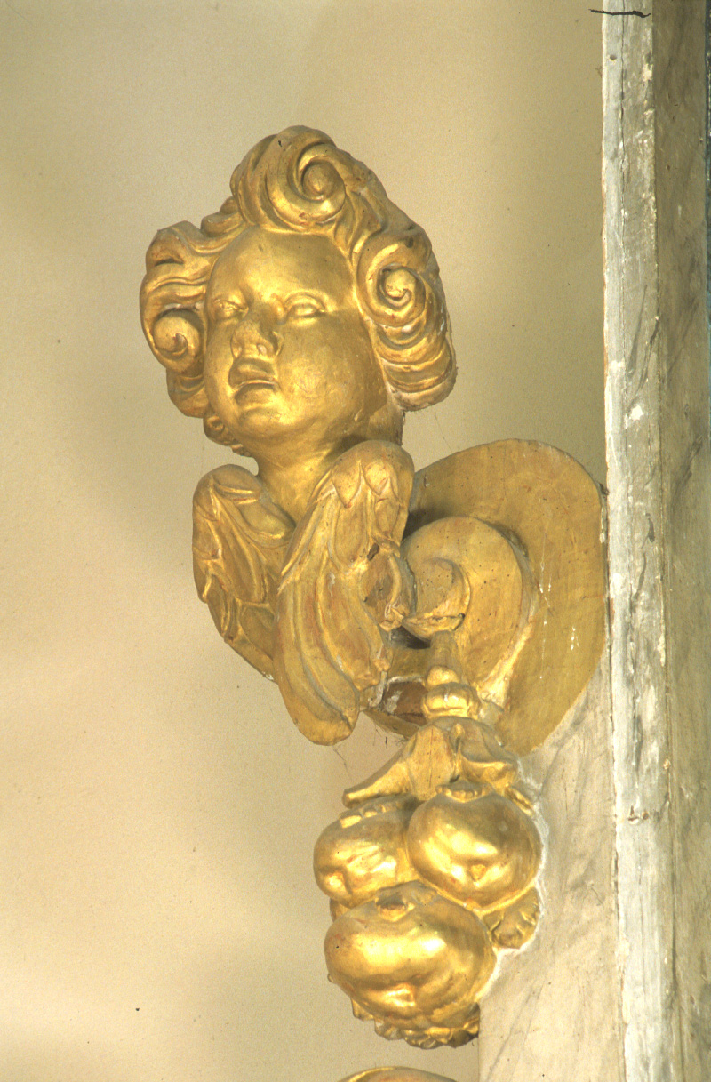 volto di angelo, angelo (scultura, elemento d'insieme) di Giglioni Francesco (metà sec. XVII)