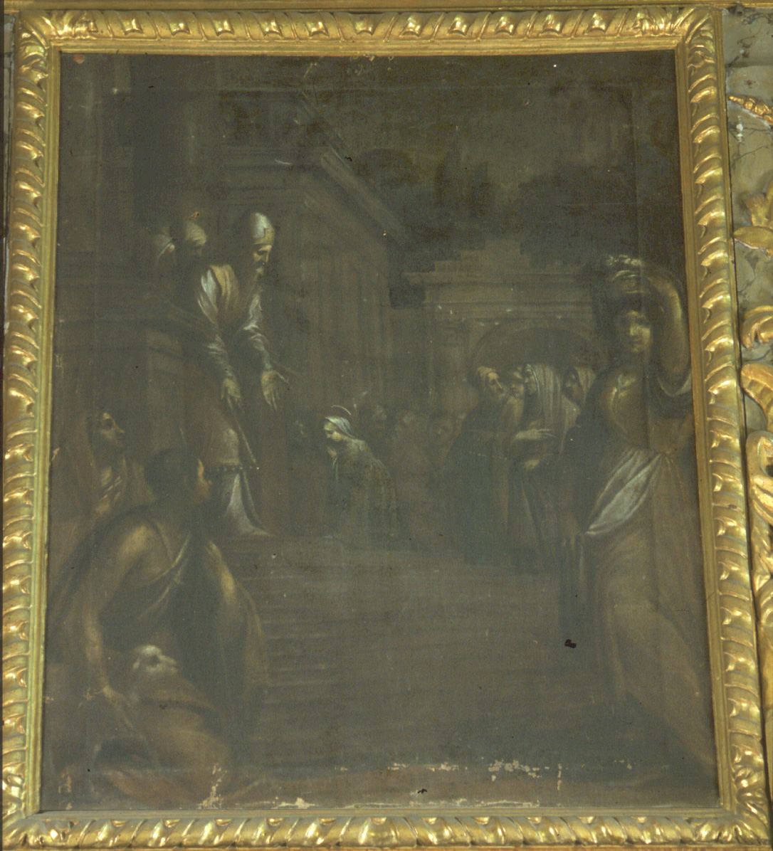 presentazione di Maria Vergine al tempio (dipinto, elemento d'insieme) - ambito pesarese (fine sec. XVII)