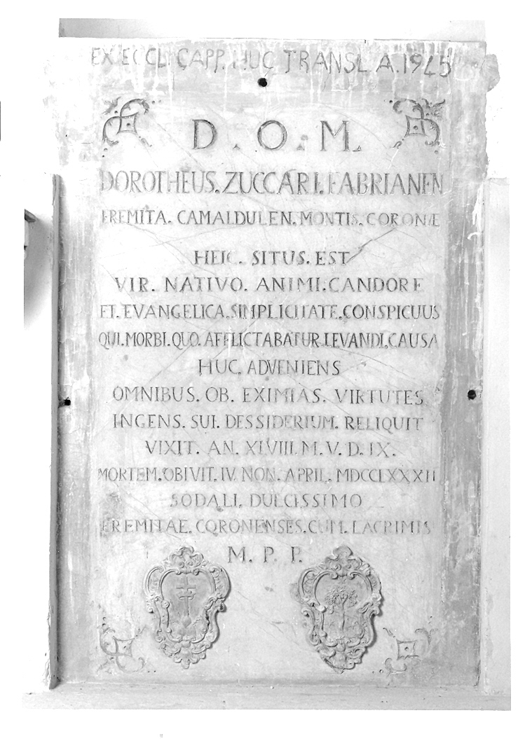 lapide - manifattura marchigiana (sec. XVIII)