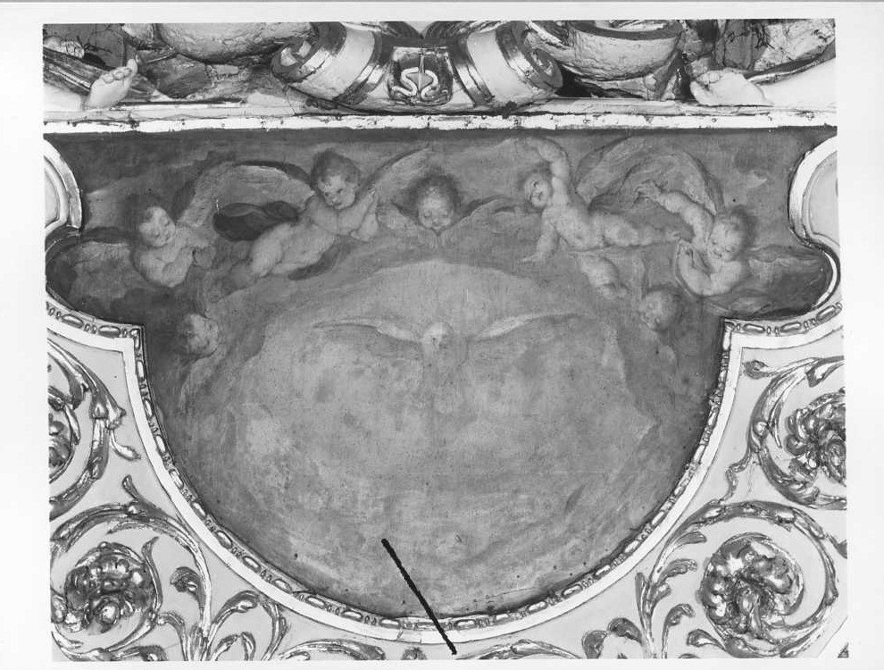 Spirito Santo e gloria d'angeli, colomba dello Spirito Santo e cherubini (dipinto, elemento d'insieme) di Viviani Antonio detto Sordo (sec. XVI)