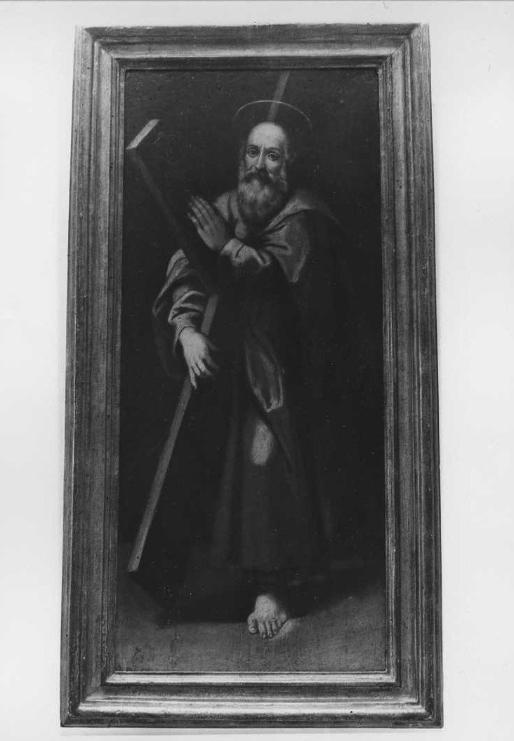 Sant'Andrea (dipinto) di Raffaellino del Colle (attribuito) (sec. XVI)