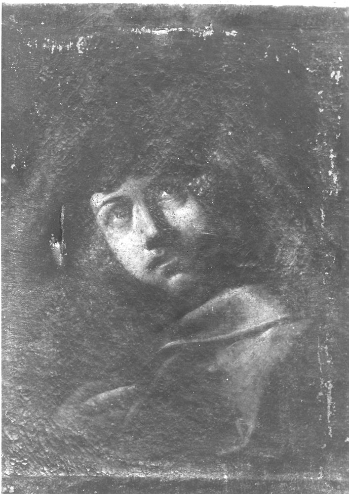 giovane (dipinto) - ambito marchigiano (sec. XVII)