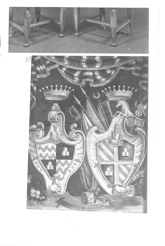 stemma della Famiglia Servanzi-Collio (dipinto) - ambito marchigiano (sec. XIX)