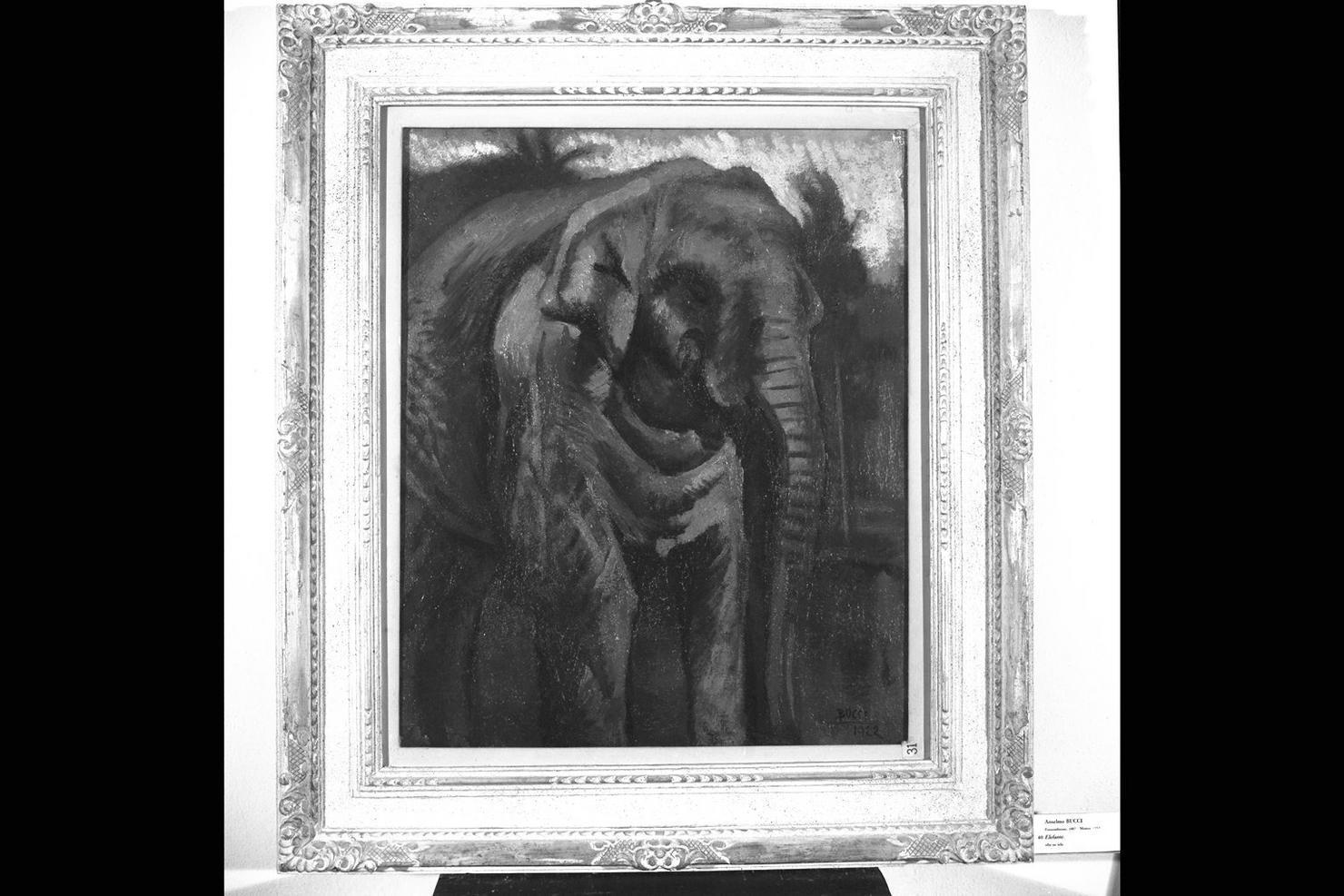 Elefante, elefante (dipinto) di Bucci Anselmo (sec. XX)