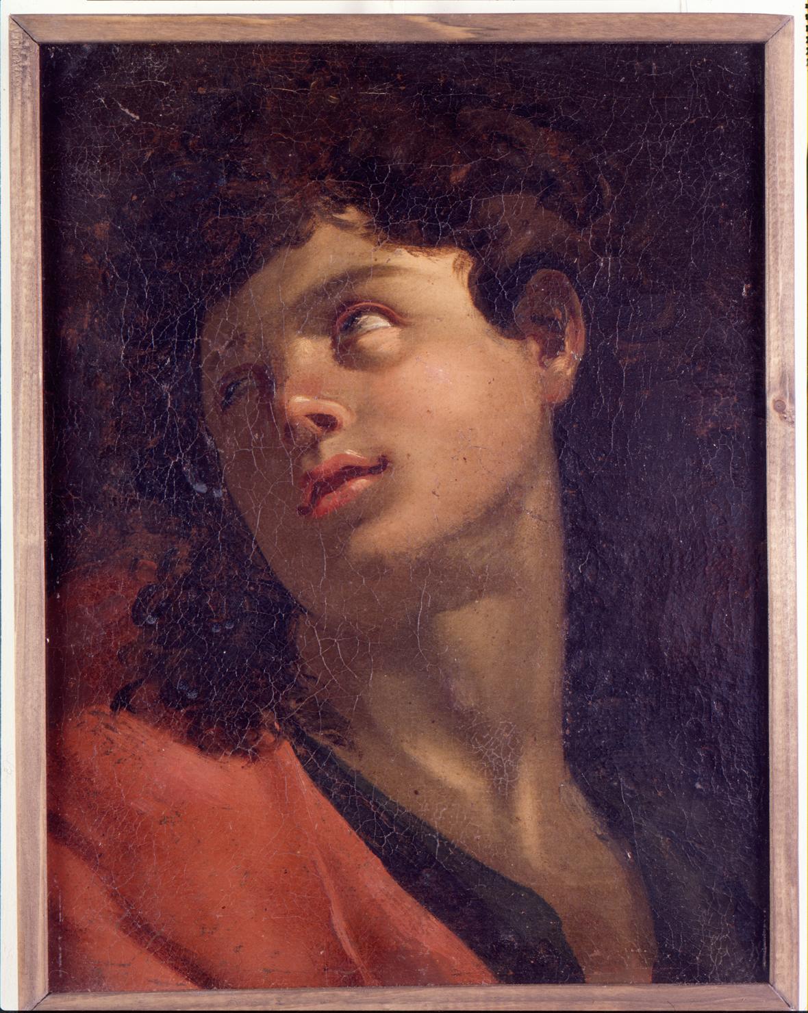 testa di giovane (Santo ?) (dipinto) - ambito italiano (prima metà sec. XIX)