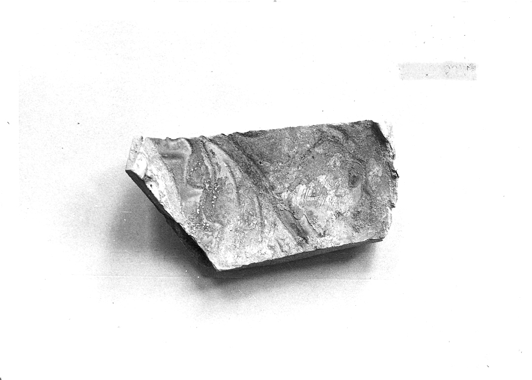 bacile, frammento - bottega marchigiana (seconda metà sec. XII)