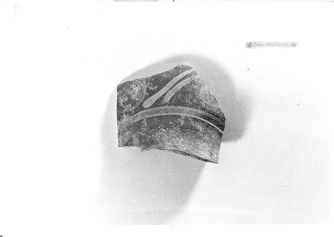 giara, frammento - bottega marchigiana (sec. XIII)