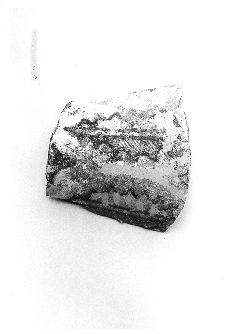 boccale, frammento - bottega marchigiana (sec. XIV)