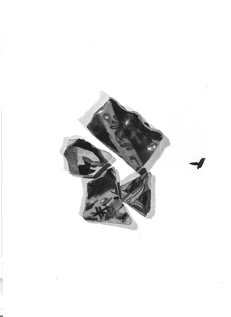 piatto, frammento - bottega urbinate (seconda metà sec. XVI)