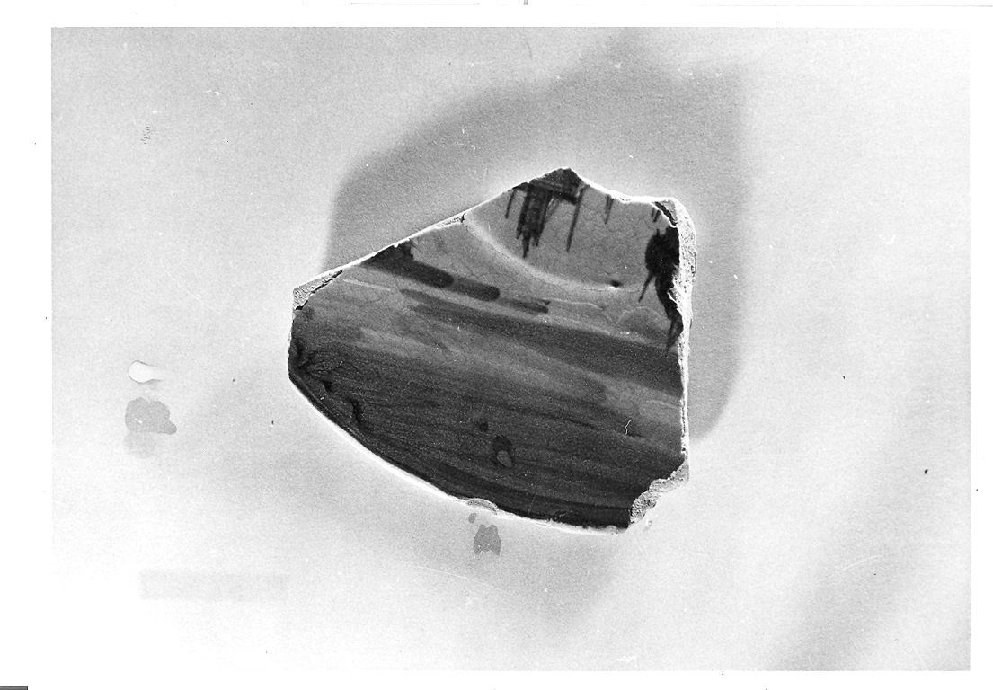 piatto, frammento - bottega urbinate (fine sec. XVI)