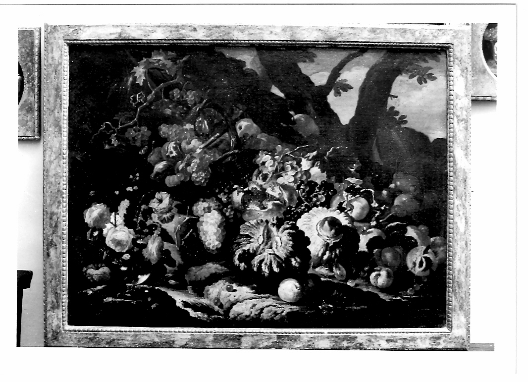 natura morta con frutta (dipinto) di Castelli Giovanni Paolo detto Spadino (sec. XVIII)