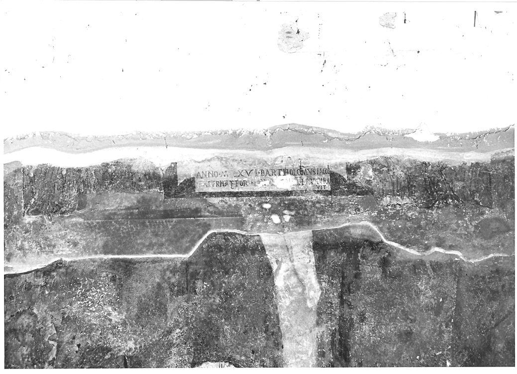 Sant'Antonio Abate (dipinto, frammento) - ambito marchigiano (sec. XVI)