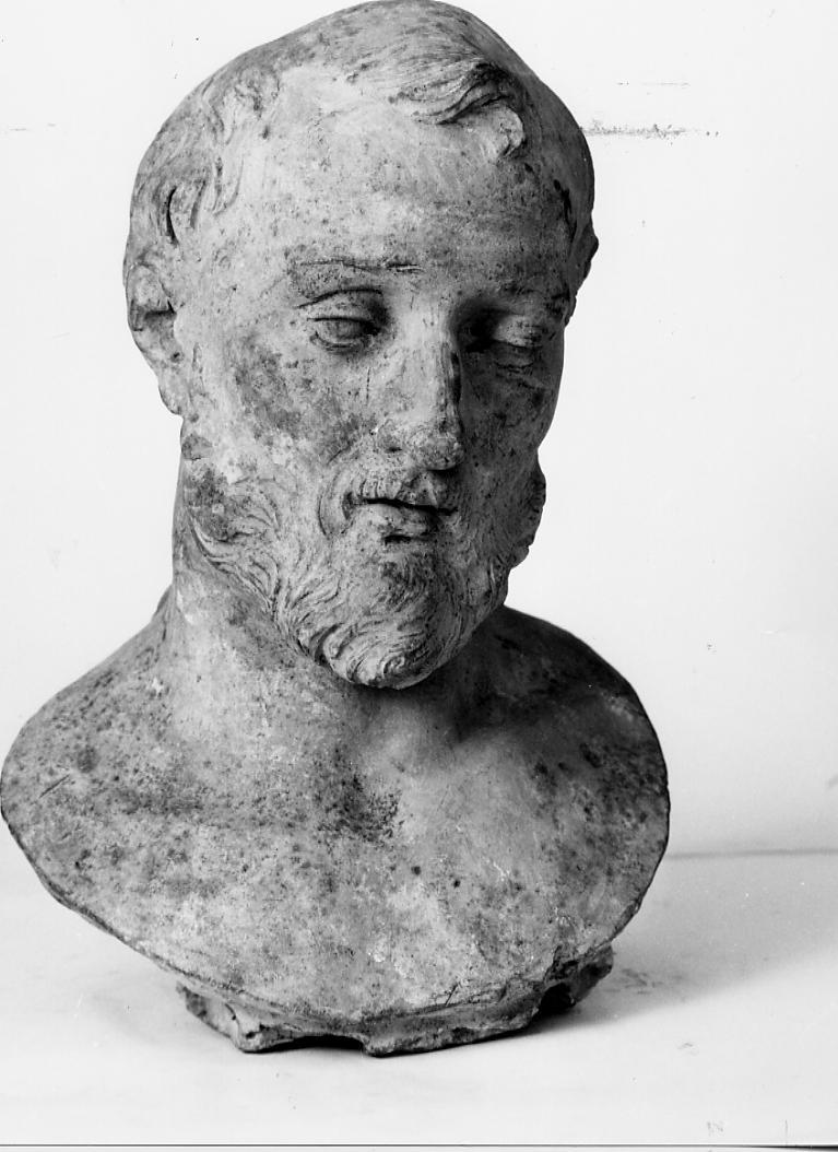 testa di giovane (scultura) di Paci Emidio (bottega) (sec. XIX)