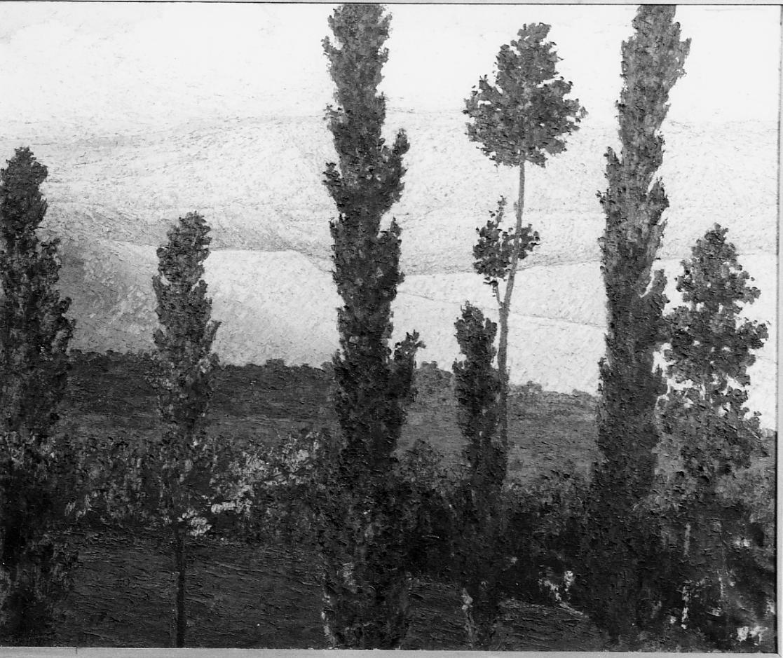 primi fremiti, paesaggio con alberi (dipinto) di Nardini Didimo (sec. XX)
