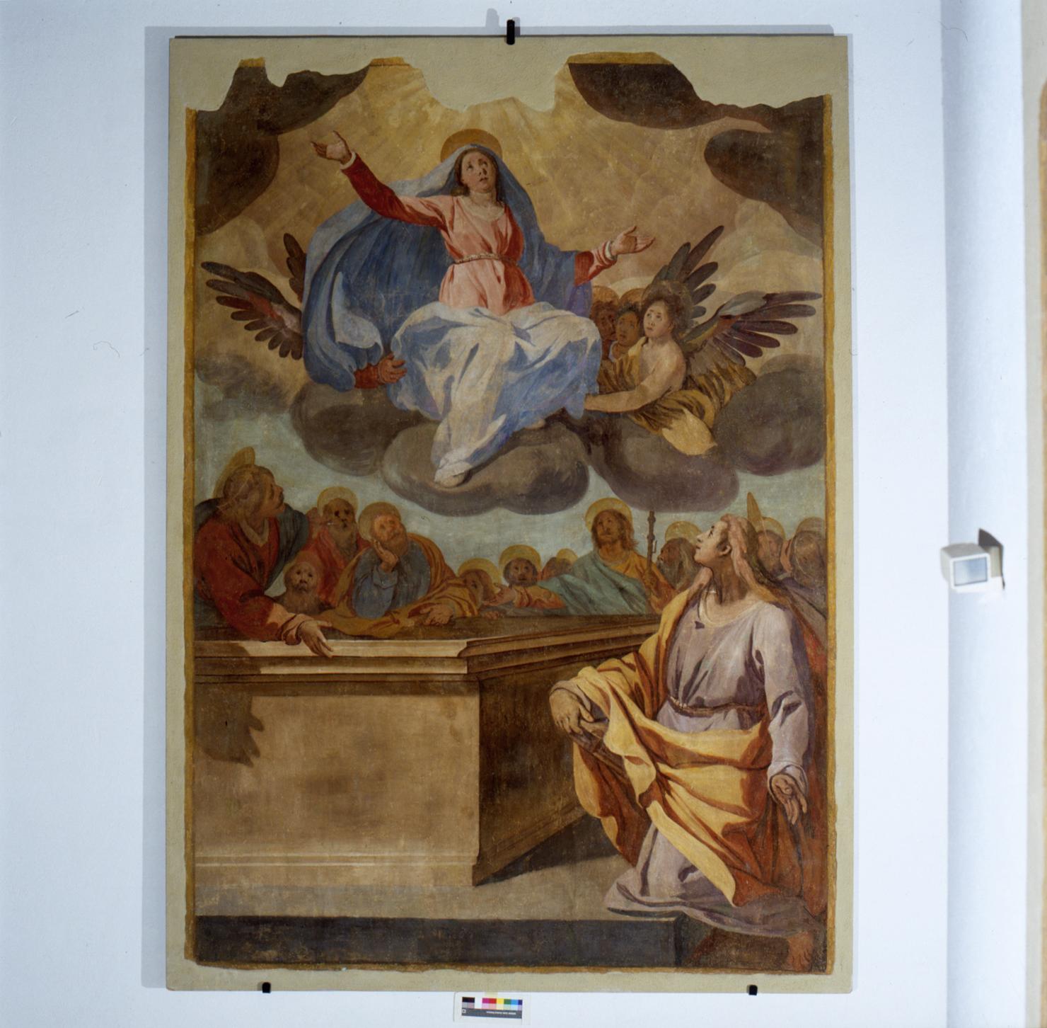 storie della vita di Maria Vergine (dipinto, ciclo) di Boscoli Andrea (attribuito) (sec. XVII)