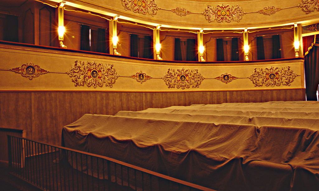 motivi decorativi vegetali (decorazione pittorica) di Recanatini Cesare (terzo quarto sec. XIX)